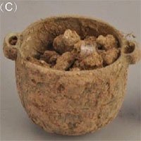 Tìm thấy kem dưỡng da 2.700 năm trong mộ quý tộc Trung Quốc