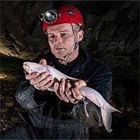 Tìm thấy loài cá kỳ lạ sống trong hang động