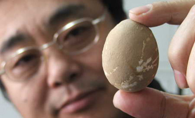 Tìm thấy quả trứng gà 600 tuổi