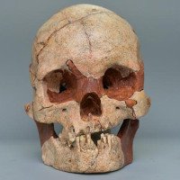 Tìm thấy sọ người 16.000 tuổi gần nguyên vẹn
