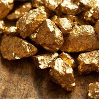 Tình cờ tìm thấy mỏ vàng tỷ đô, trữ lượng gần trăm tấn khiến giới truyền thông 
