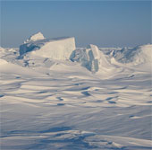 Trái Đất ấm lên, Bắc Cực sẽ bùng nổ thảm thực vật