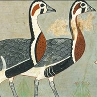 Tranh Ai Cập 4.600 năm tiết lộ loài ngỗng chưa từng được biết