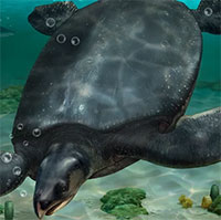 Trục vớt rùa cổ đại khổng lồ to như tê giác, tuyệt chủng 66 triệu năm trước