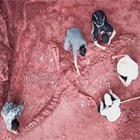 Trung Quốc phát hiện hóa thạch khủng long khổng lồ gần nguyên vẹn, cực kỳ hiếm có