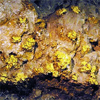 Trung Quốc phát hiện mỏ vàng hơn 50 tấn ở tỉnh Sơn Đông