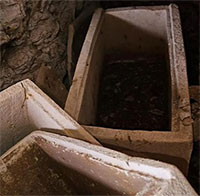 Truy tìm tội phạm, đội đặc nhiệm lạc vào hầm mộ kỳ lạ 2.000 tuổi