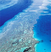 UNESCO cảnh báo rạn san hô Great Barrier Reef lâm nguy