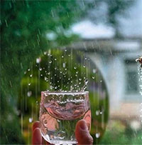 Uống nước mưa liệu có an toàn?