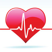 Vì sao cơ tim là cơ bắp khỏe nhất trong cơ thể?