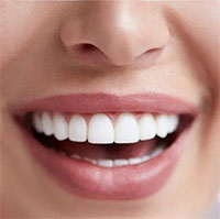 Vì sao con người chỉ có duy nhất 1 lần thay răng suốt cuộc đời?