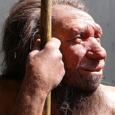 Vì sao tay phải người Neanderthal to gấp đôi tay trái?