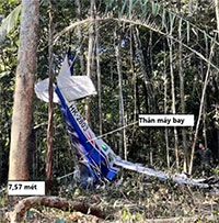 Vị trí ngồi giúp 4 trẻ em sống sót khi máy bay rơi trong rừng Amazon