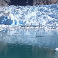 Video: Phát hiện quái vật rồng khổng lồ trên sông băng?