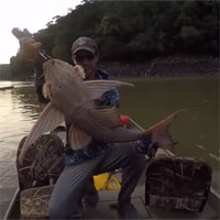 Video: Thả câu dưới sông, người đàn ông bất ngờ kéo lên một sinh vật có 