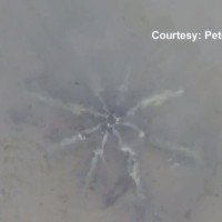 Video: Vật thể hình sao biển 8 chân nghi thiết bị ngoài hành tinh