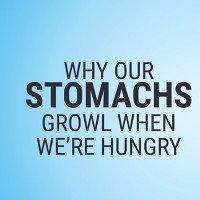 Video: Vì sao bụng phát ra tiếng kêu khi đói?
