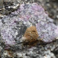Viên hồng ngọc quý nhất thế giới: giam lỏng sinh vật 2,5 tỉ tuổi