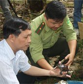 Việt Nam đón 71 con rùa 