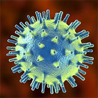 Virus thực khuẩn - Loại virus có thể cứu sống hàng triệu người