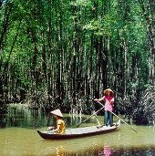 Vườn quốc gia Mũi Cà Mau sắp thành khu Ramsar