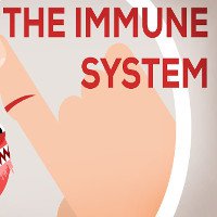 Xem xong video này, bạn sẽ thấy hệ miễn dịch của chúng ta vi diệu tới mức nào