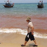 Xuất hiện vệt nước đỏ 1,5km sát bờ biển Quảng Bình